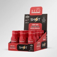 BEEO Kudret Narı Ginseng Propolis Shot 12`li BEEO Kudret Narı Ginseng Propolis Shot 12`li