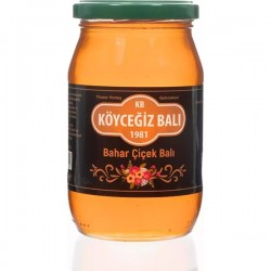 Bahar Çiçek Balı 450 G Cam Kavanoz