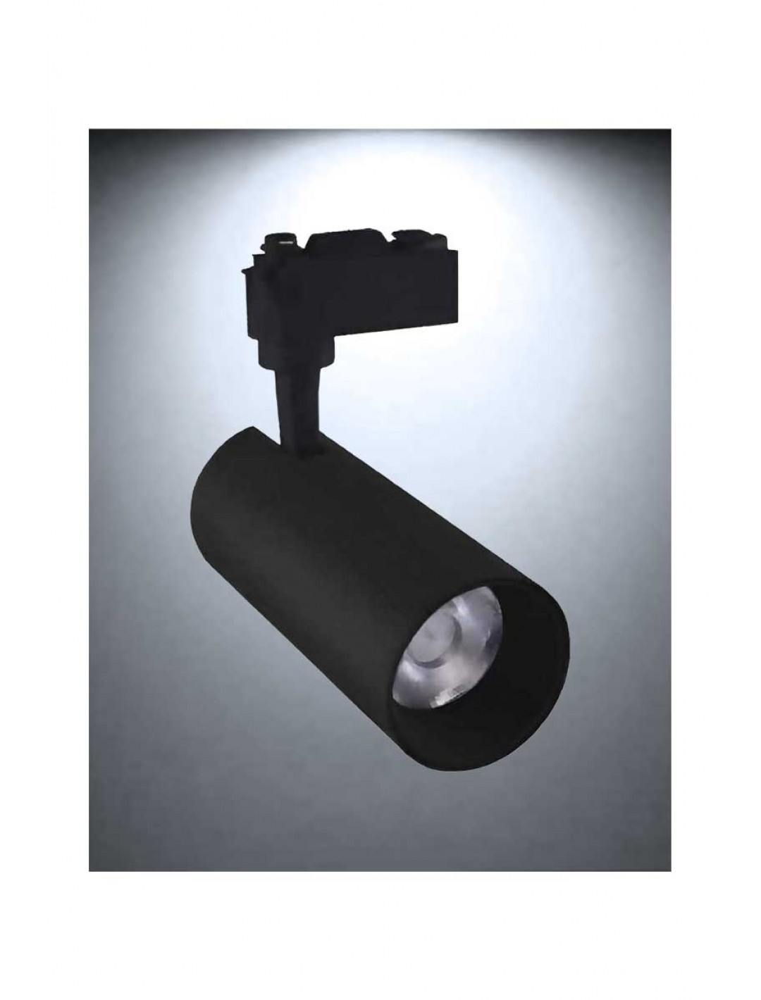 ACK AD30-04031 6500K Beyaz 30W Siyah Kasa Cob Led Ray Spot Armatür