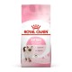 Royal Canin Yavru Kediler İçin Kuru Kedi Mama 2 Kg