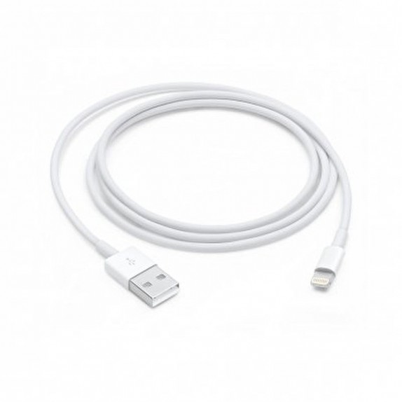 Apple Lightning - USB Kablosu (1 m)