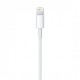 Apple Lightning - USB Kablosu (1 m)