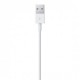 Apple Lightning - USB Kablosu (1 m)
