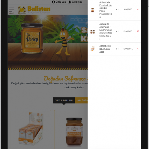 Bal ve Arı Ürünleri E-Ticaret Sitesi